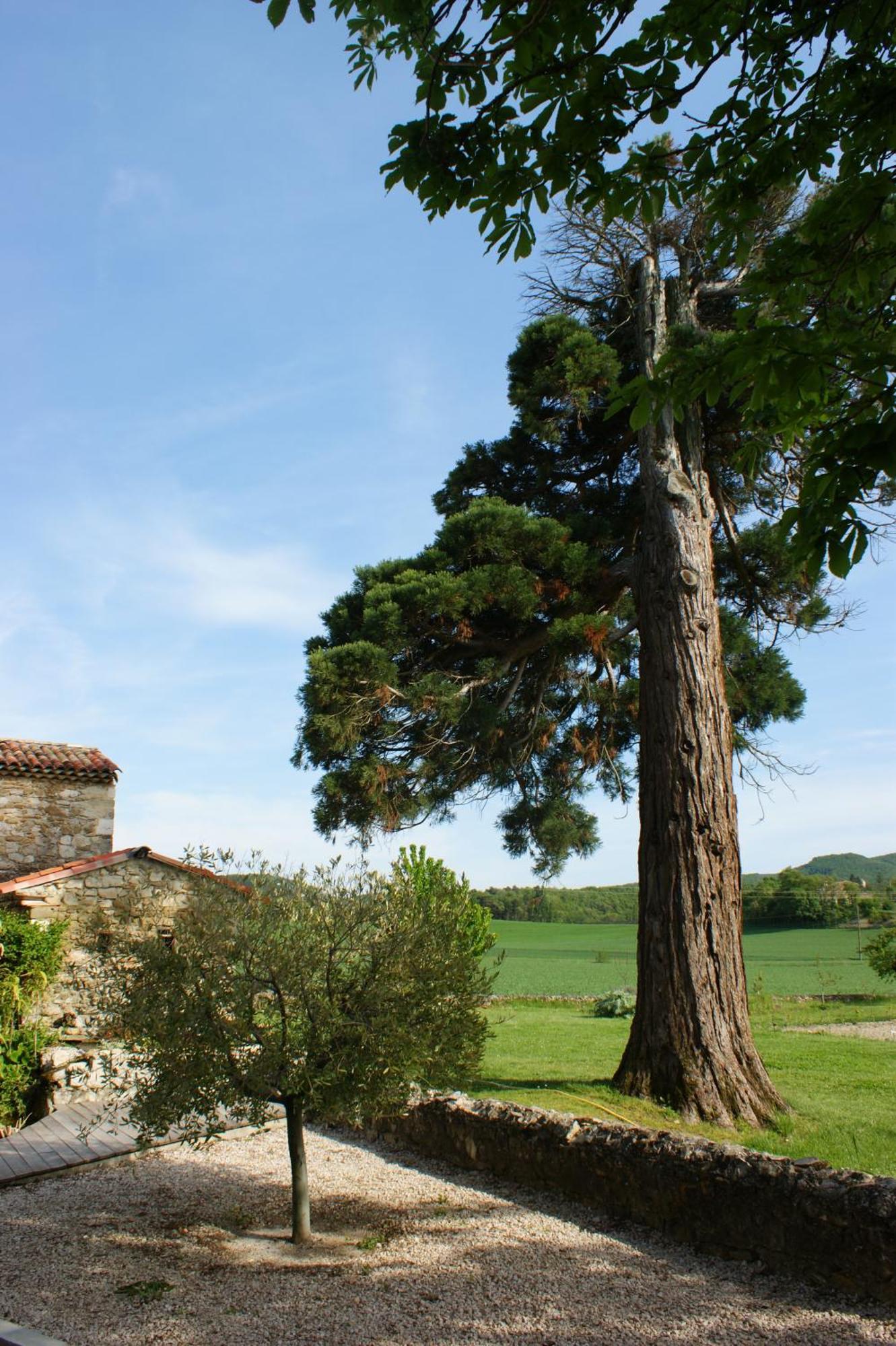 Hotel Le Prieuré des Sources La Répara Esterno foto
